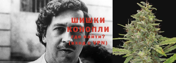 ПСИЛОЦИБИНОВЫЕ ГРИБЫ Михайловск