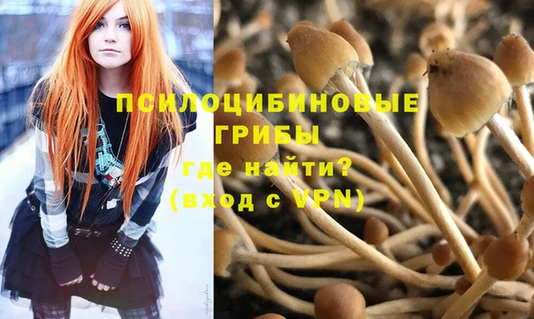 apvp Михайлов