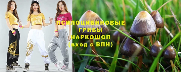 apvp Михайлов