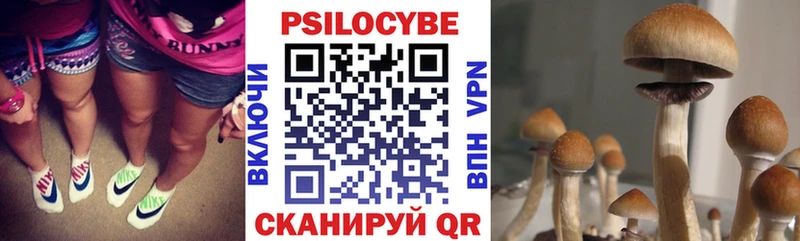 Купить  Апрелевка  Псилоцибиновые грибы прущие грибы 